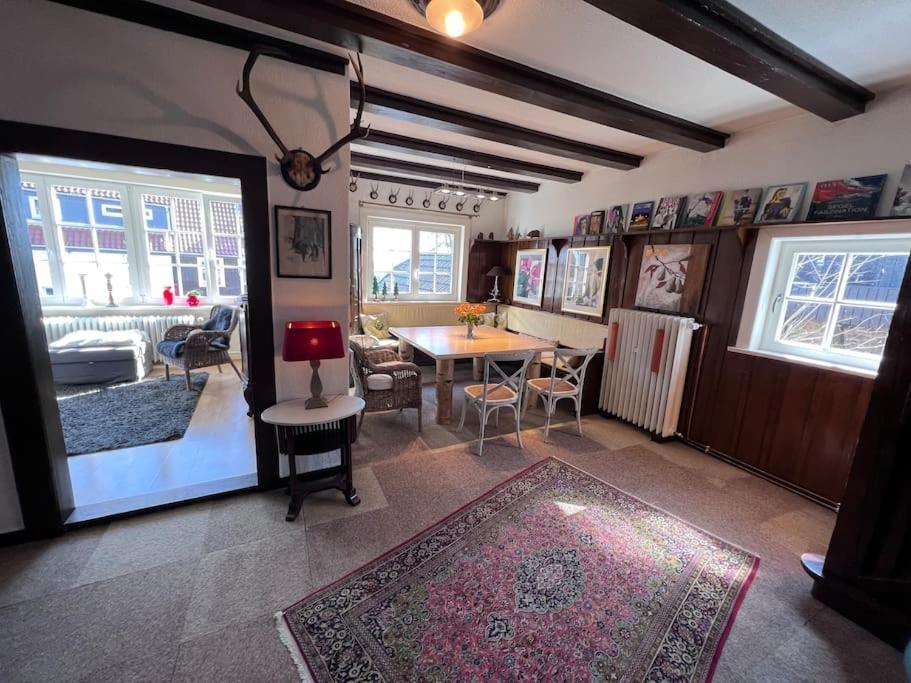 Villa Herzog - Ferienhaus Fuer 6 Personen In Braunlage, Harz Zewnętrze zdjęcie