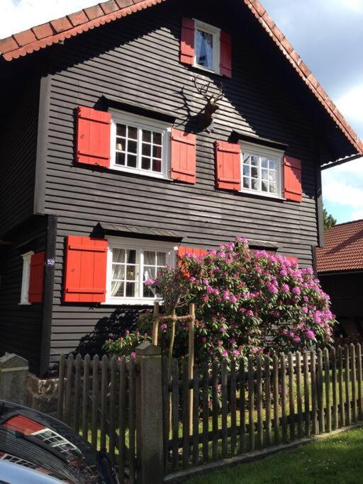 Villa Herzog - Ferienhaus Fuer 6 Personen In Braunlage, Harz Zewnętrze zdjęcie